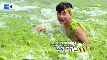 몸에 바르고 던지고...'녹조 해변'을 즐기는 사람들 / YTN (Yes! Top News)