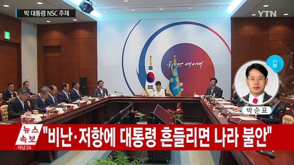 박근혜 대통령 "비난·저항에 대통령 흔들리면 나라 불안" / YTN (Yes! Top News)