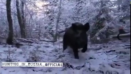 like-hunt-addicts-for-more