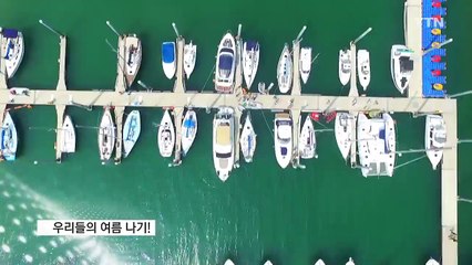 [영상] 우리들의 여름 나기! / YTN (Yes! Top News)