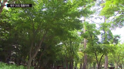 전국에 폭염 절정...대구는 35도 '찜통' / YTN (Yes! Top News)