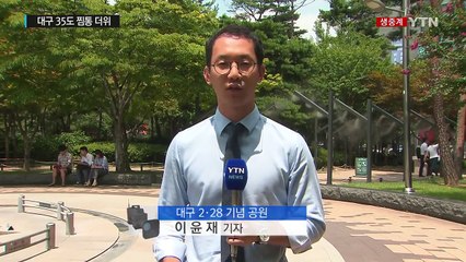 [날씨] 대구 35도 찜통 더위...전국에 폭염 특보 / YTN (Yes! Top News)