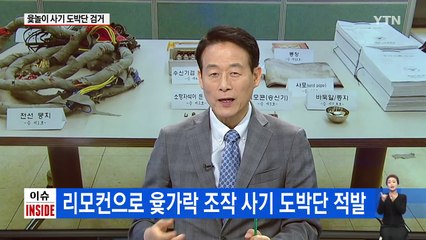 윷나와라 뚝딱! 윷놀이 사기단 '덜미' / YTN (Yes! Top News)