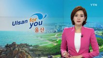 [울산] '포켓몬 고', 울산 앞바다에 나타나 / YTN (Yes! Top News)