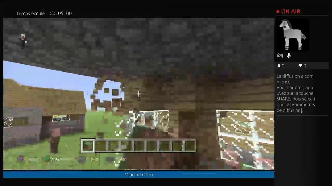 Minecraft (5)