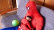 SPIDER-MAN Baby Fart JOKER SANTA CLAUS! Funny Superheros Video