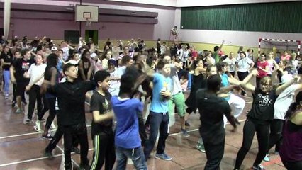 Bron : les Lumieres 2 la...