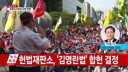 김영란법 헌재 결정...사립교원·농축산 단체 입장은? / YTN (Yes! Top News)
