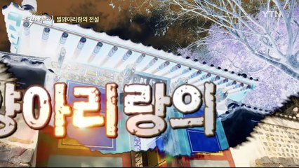 밀양아리랑에 숨겨진 슬픈 전설 / YTN (Yes! Top News)