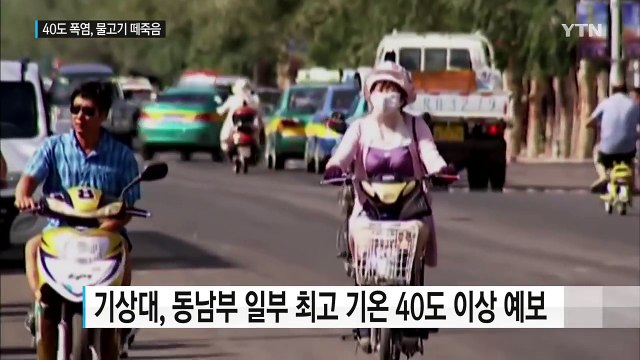 중국, 살인 폭염에 인명피해 속출...물고기도 떼죽음 / YTN (Yes! Top News)