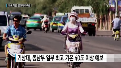 중국, 살인 폭염에 인명피해 속출...물고기도 떼죽음 / YTN (Yes! Top News)