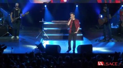 foire aux vins : concert michel Telo