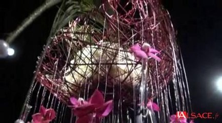 Flânerie nocturne parmi les 100 000 fleurs de Folie'Flore