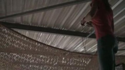 FAV 2011 Halle aux Vins