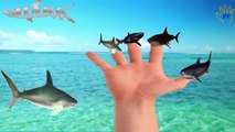 Shark Finger Family Songs | Shark Attacks | Sea Animals Finger Family Nursery Rhymes For Children