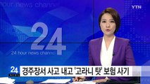 경주장서 사고 내고 '고라니 탓' 보험 사기 / YTN (Yes! Top News)