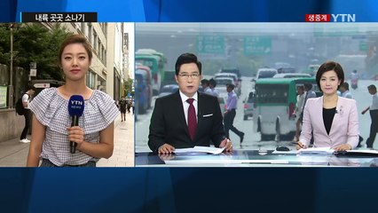 [날씨] '영천 36.2℃' 찜통더위 맹위...곳곳 소나기 / YTN (Yes! Top News)