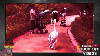 Ultimate Thug Life Compilation #100 BEST OF ALL TIME