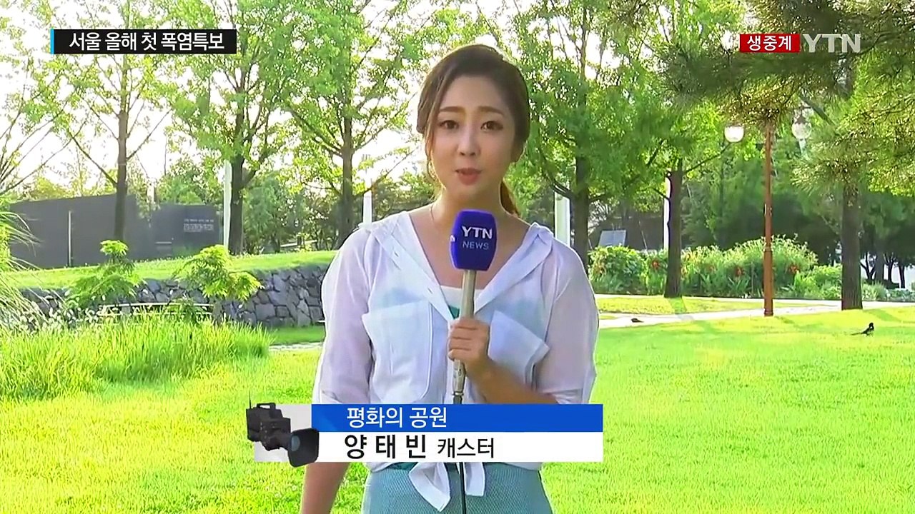 [날씨] 서울 올 최고, 34.2℃...올해 첫 폭염경보 / YTN (Yes! Top...