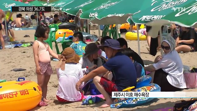 경북 의성 36.7도, 올여름 최고...폭염 피해 숲과 바다로 / YTN (Yes! Top News)