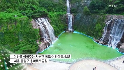 [영상] 더위를 식혀주는 시원한 폭포수 / YTN (Yes! Top News)