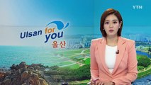 [울산] 울산시, 전기자동차 보급확대 나서 / YTN (Yes! Top News)