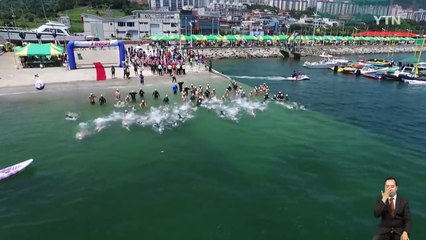 위험 도사린 바다수영 잇단 사고...수사 착수 / YTN (Yes! Top News)