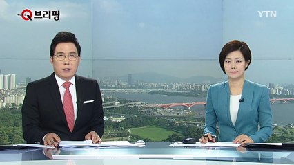 더민주 "靑·새누리당 '사드 방중' 비판은 선동정치" / YTN (Yes! Top News)