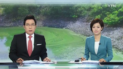 대청호 녹조에 '조류경보'...식수원 문제 없나 / YTN (Yes! Top News)