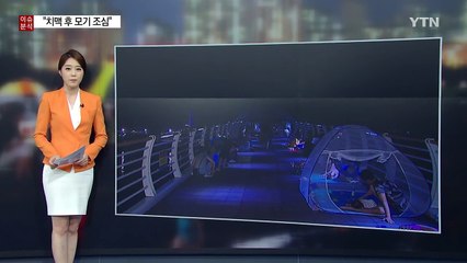 "치맥 후 모기 조심"...술 마시면 잘 물리는 이유 / YTN (Yes! Top News)
