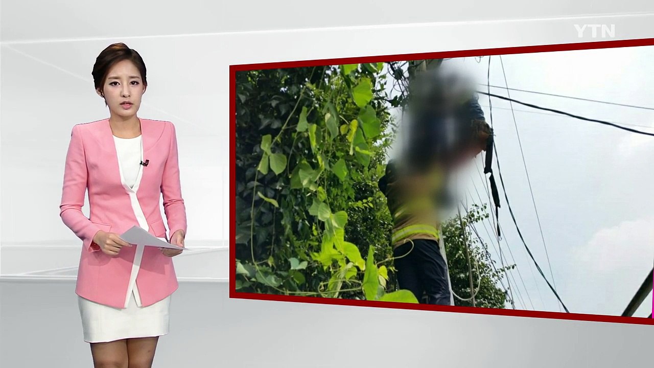 한전 하청 직원 1명 전봇대 작업 중 감전사 / YTN (Yes! Top News)