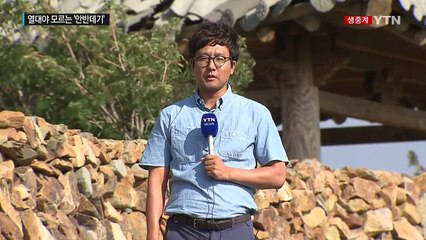 '열대야'가 뭐죠? '강릉 안반데기' 고랭지 마을 / YTN (Yes! Top News)