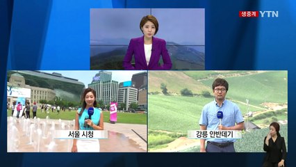 열대야 없는 ‘강릉 안반데기' 고랭지 배추 장관 / YTN (Yes! Top News)