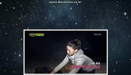 [토토솔루션]임대 분양합니다. 카톡:haricuty 스카이프:cuty hary