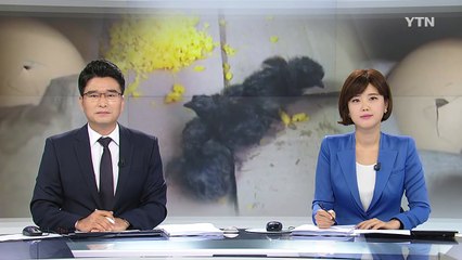 가정집 달걀 부화...주인 "갑자기 삐약삐약 소리가 났다" / YTN (Yes! Top News)