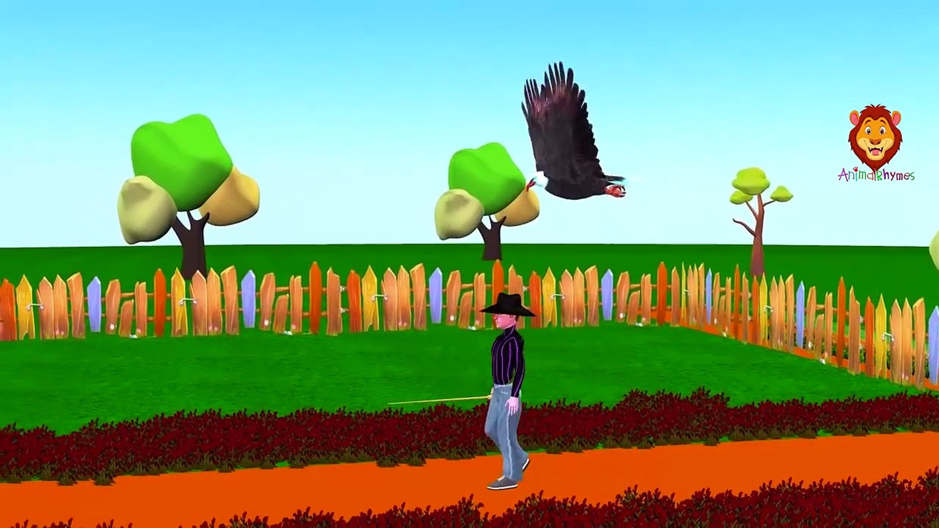 Eagle Cartoon Finger Family Rhymes | Finger Family Songs For Kids