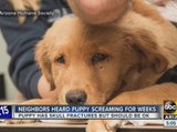 Neighbors heard Tempe puppy screaming for weeks
