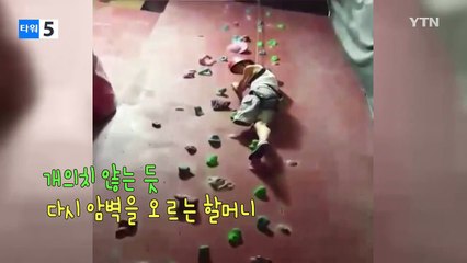 암벽 등반 도중 떨어진 의족...할머니의 반응은? / YTN (Yes! Top News)