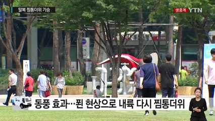 [날씨] 말복 더위 기승...서울·대전 34℃ / YTN (Yes! Top News)