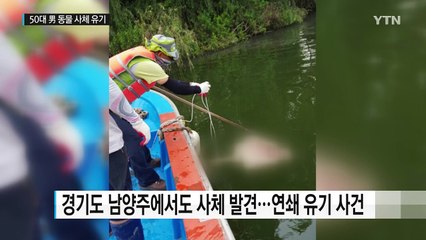 '한강 미스터리' 풀렸다..."천제 지내고 사체 유기" / YTN (Yes! Top News)