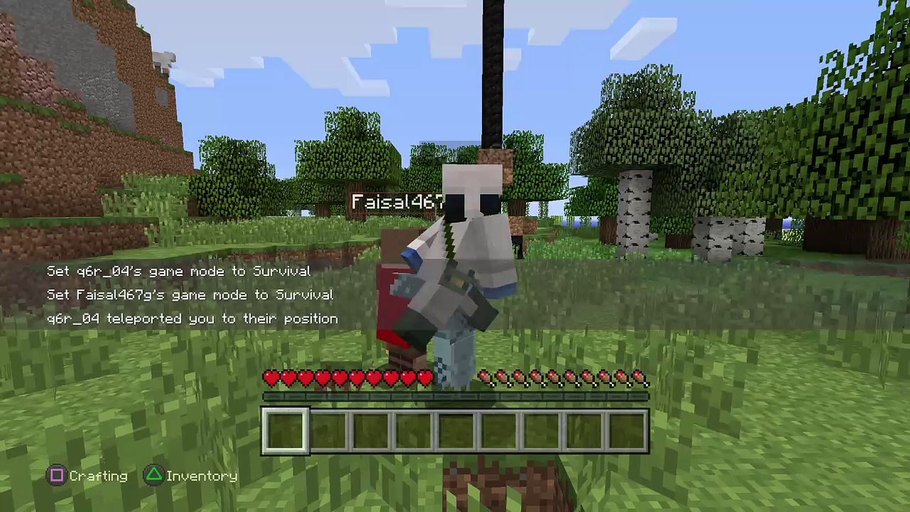 Minecraft: PlayStation®4 Edition_20170107044650