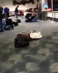 Shooting at Fort Lauderdale Hollywood Airport in Terminal 1 Esteban Santiago kills 8 - YouTube