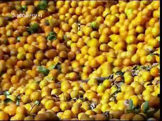 How It's Made  Orange Juice