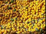 How It's Made  Orange Juice