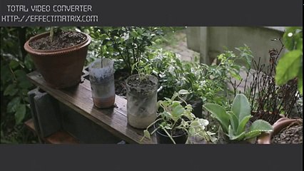 Clip cảm động về" Tình cha mẹ"