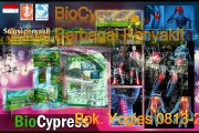 0813-2152-9993(Bpk.Yogies)Obat, Agen Herbal, BioCypress