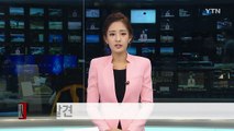 보령 석탄박물관에서 멸종위기 '황금박쥐' 발견 / YTN (Yes! Top News)