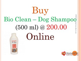 Buy Bio Clean Dog Shampoo Online