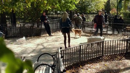 My Dead Boyfriend Official Trailer 1 (2016) - Heather Graham Movie-vusEP_SLbKc