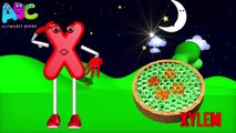 Letter X Song _ Phonic ABC Song _ ABC rhymes for children in 3D _ X for Xylophone-dLFp-SR_G48